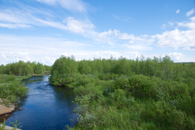 287. Landschap