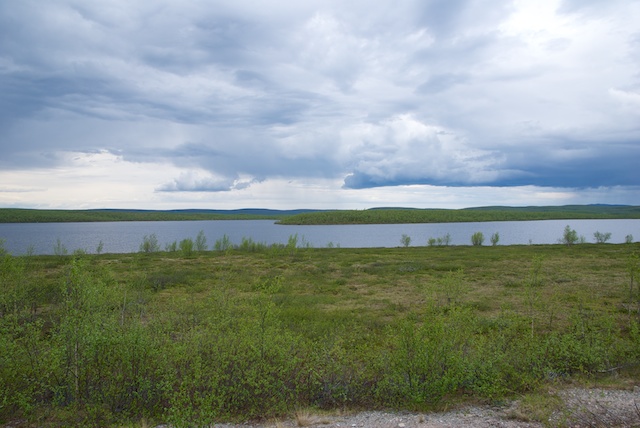 308. Steppe