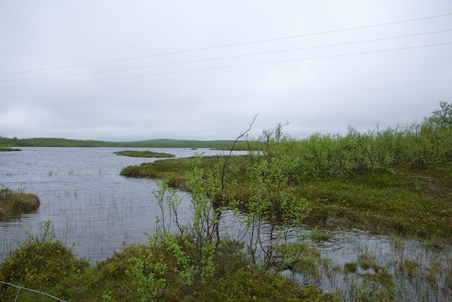 321. Landschap