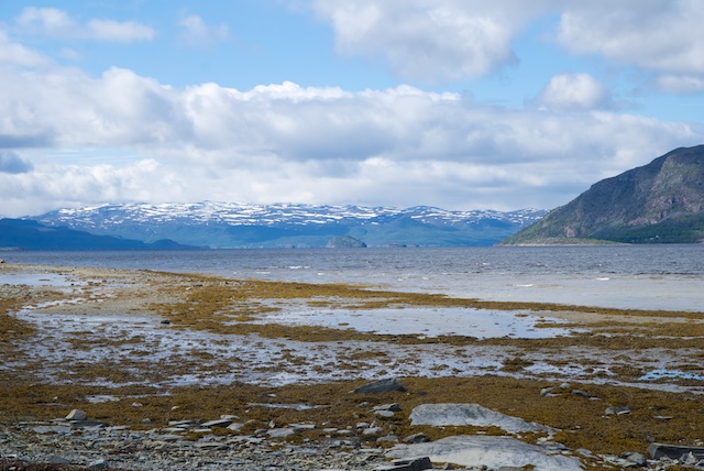 393. Altafjord