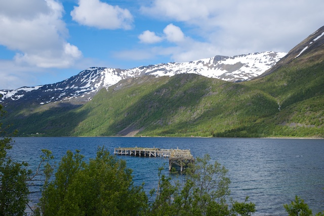 436. Fjord