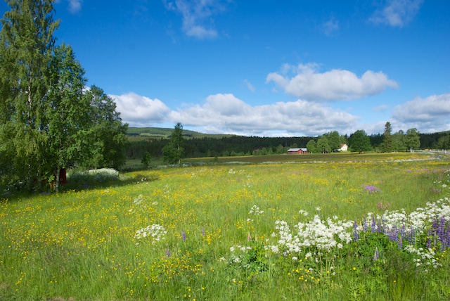 74. Zweden