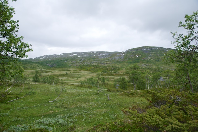 907. Hardangervidda