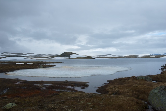 909. Hardangervidda