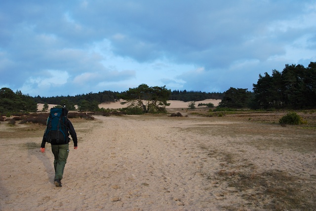 51. Hulshorster Zand